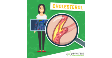 [Blog #42] Cholesterol